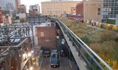「ハイライン」を生み出したNPO法人「Friends of the High Line」