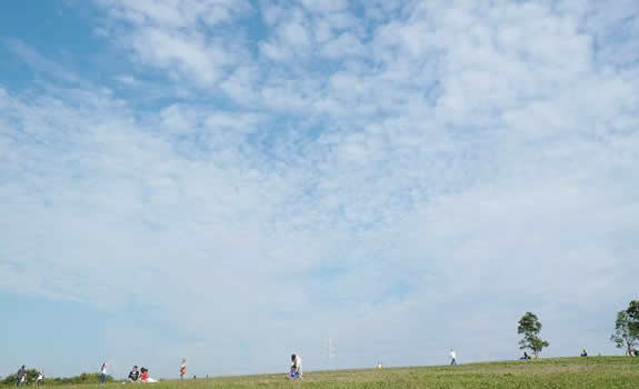 アートな気分で公園散歩