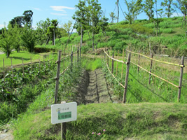 山田池公園