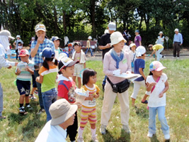 バッタの運動会
