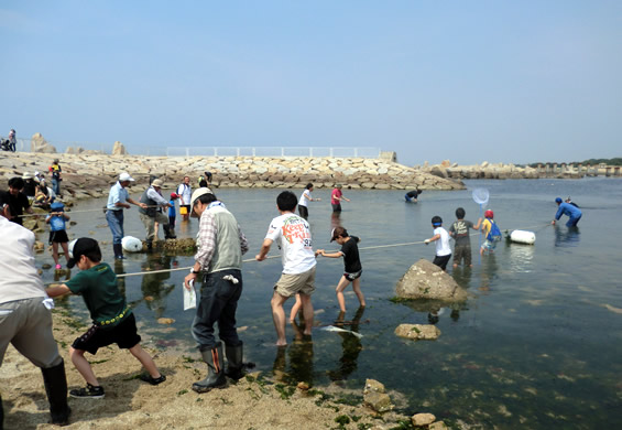 せんなん里海公園