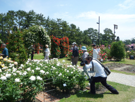 浜寺公園