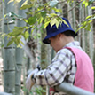 京都土の塾 森の部 - 生きるチカラを蘇らせる森づくり